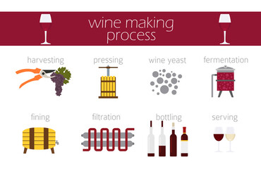 Grapes varieties for wine. Winemaking infographic - obrazy, fototapety, plakaty