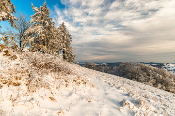 Winter, snow, Forester, Bílé Karpaty, Czech republic - obrazy, fototapety, plakaty