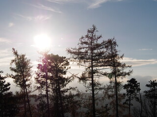 autumn afternoon in the forest, falling leaves from the trees, sunny cold day, wild nature, adventure trip, family travel,sun