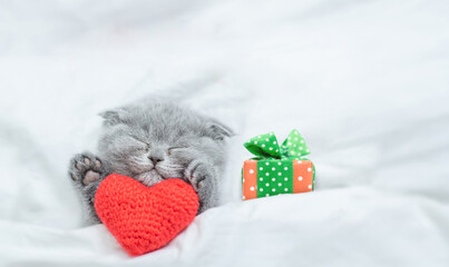 Tiny kitten sleeps with red heart and gift box on a bed under white blanket. Valentines day...