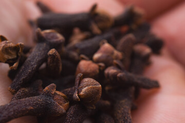 Obraz premium cloves on hand in macro