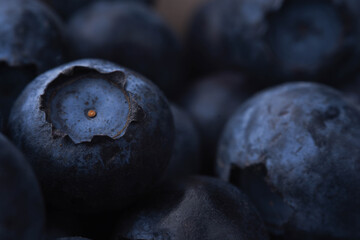blueberries on a wooden background close up macro