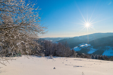 Winter in Czech republic, Bílé Karpaty, snow, forester, tree