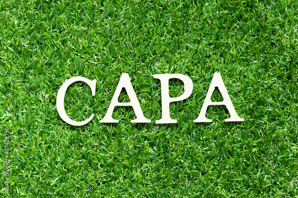 Canvas Prints Alphabet letter in word CAPA (abbreviation of corrective action and preventive action) on green grass background