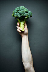 Hand-held bunch of broccoli on dark background 
