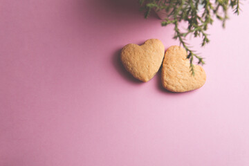 Two cookies in shape of a heart next to each other on a pink background and home green plant branch. Pastel colors. The concept of Valentine's Day. Place for text.
