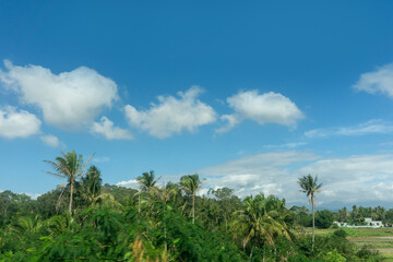 Fototapeta na wymiar Outdoor blue sky white clouds and rural scenery