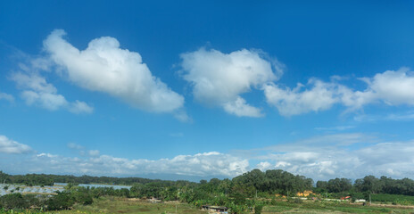 Fototapeta na wymiar Outdoor blue sky white clouds and rural scenery