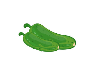 Cucumber icon. Vector image. Diet