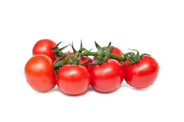 Branch of fresh tomatoes on white background