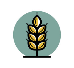 Ripe wheat spike vector linear icon isolated on white background, design element for emblem or logo creation for agriculture or healthy food theme.