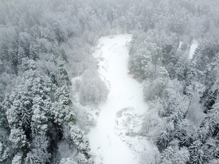 Winter landscape with forest river and snowy trees, aerial view
