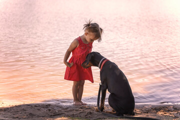 Caucasian little girl in a red dress stands on the shore of the lake with a Doberman dog at sunset. summer vacation concept with pets