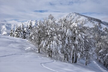 la magia della neve © Cristina Elisabetta