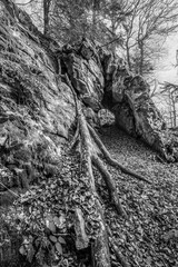 Naklejka premium Schwarz weiß Bild Alte verwitterte Granit Felsen Formation mit Höhle und Durchbruch im Wald auf der Rusel und Ruselabsatz nähe Geisslinger Stein Königstein und Hausstein im bayerischen Wald bei Deggen
