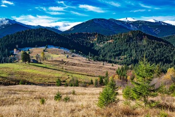 Beautiful forests covering the Carpathian mountains and a small village