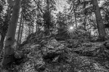 Schwarz weiß Bild  Der Berg Gipfel des Hausstein bei der Rusel Ruselabsatz nähe Geisslinger Stein Königstein im bayerischen Wald bei Deggendorf und Regen, Deutschland