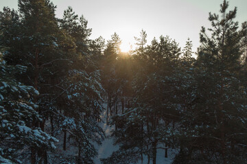 Beautiful winter forest with a drone, near the city