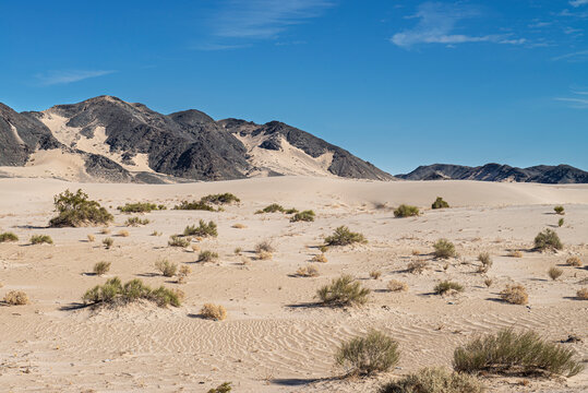 Dunes on the desert of Baja California, near the San Felipe Bay. Mexicali Baja Califronia.