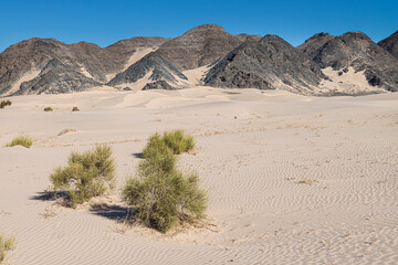 Fototapeta na wymiar Dunes at the Baja California desert on the road from San Felipe to Mexicali, in the state of Baja California. Mexico