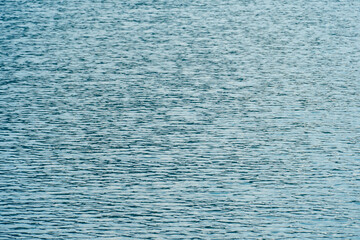 Smooth waves of the coastline with small dry twigs along the water surface.