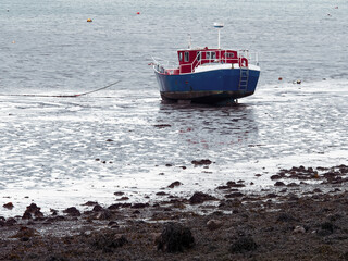 Naklejka premium Small fishing boat at low tide by a shore. Blue and red color of the vessel. Calm water surface.