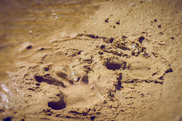 handprints with wedding rings in the sand. close-up, macro