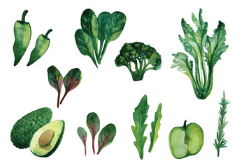 watercolor set of green fruits and vegetables isolated on white background. Healthy food pattern, vitamine diet