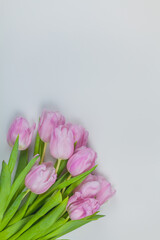 Bouquet of pink tulips on a white background. Mothers Day. International Women's Day. Holidays.