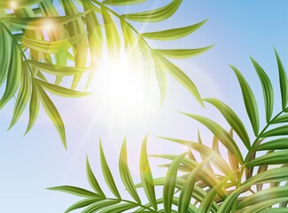 3d realistic vector tropical sky background with palm leaves and sun shining.  