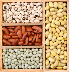 The ranks of different beans: kidney, roman, black eye,edamame, adzuki View from above in wooden box