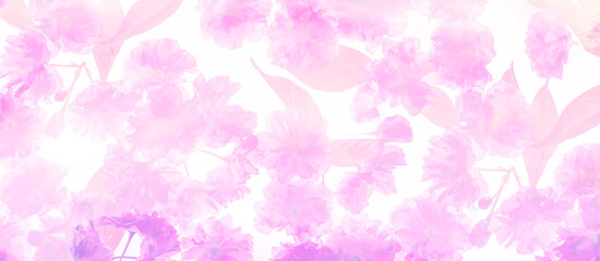 Obraz na płótnie Canvas sakura flowers