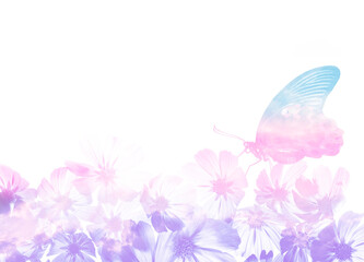 a beautiful floral background with a tropical butterfly