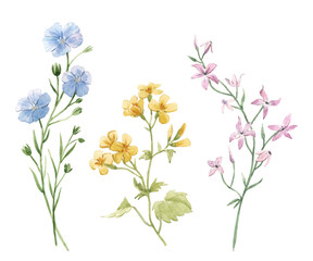 Beautiful floral set with watercolor gentle spring field flowers. Stock illustration.