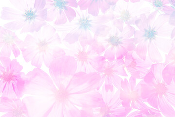 a beautiful floral background from flower petals