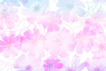 Fototapeta na wymiar a beautiful floral background from flower petals