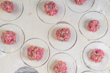 homemade meat dumplings or ravioli with meat