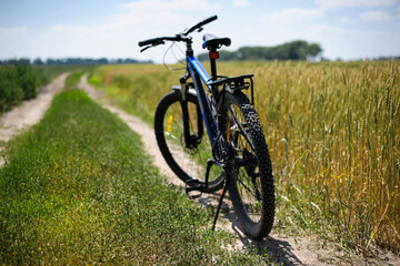 Fototapeta na wymiar bike stands on the road in the field. A mountain bike stands on a field path with green grass. cycling, wheat field. mountain bike, rear view. selective focus on the rear wheel