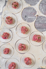 homemade meat dumplings or ravioli with meat