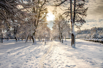 Winter fairy tale -  Snow in Bitola city Park, Macedonia
