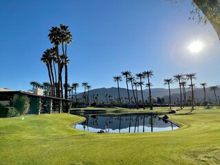 Trees on the golf course.