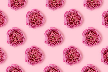 Pattern made of rose flowers on a pink pastel background. Springtime creative concept.