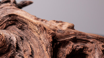 Driftwood, wood texture in volume. Decorative wooden element, close-up, minimalism. Art object for the interior. The curved root of an old tree. Wooden background.