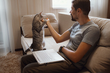 Young attractive smiling guy is browsing at his laptop