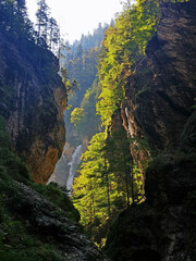 In der Liechtensteinklamm