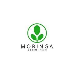 Moringa leaf icon logo vector design template