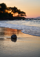 One coconut is stranded on a lonely beach in Thailand during sunset.