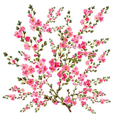  illustration of blossoming branch
