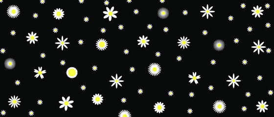 Seamless pattern with chamomile flowers on black colors background.