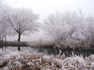 Belleza invernal.